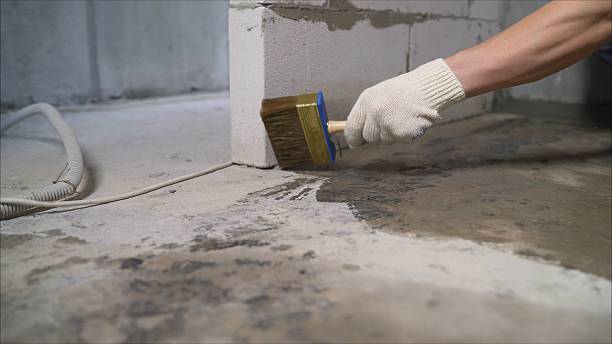SJ Waterproofing Pros Waterproofing coverage map for Worthville, KY and surrounding area